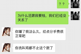 田林为什么选择专业追讨公司来处理您的债务纠纷？